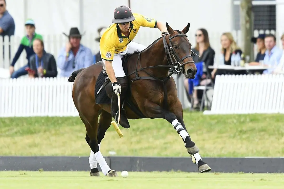 Australia - Espa&ntilde;a. Foto: USPGL