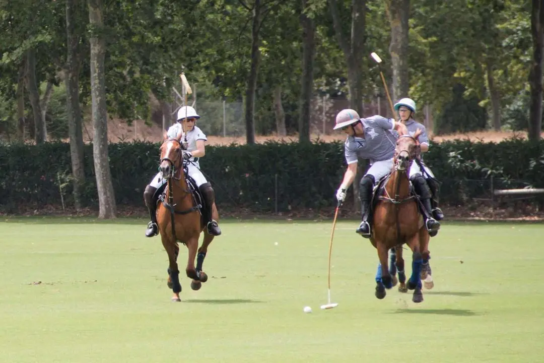 Final del Z&oacute;bel