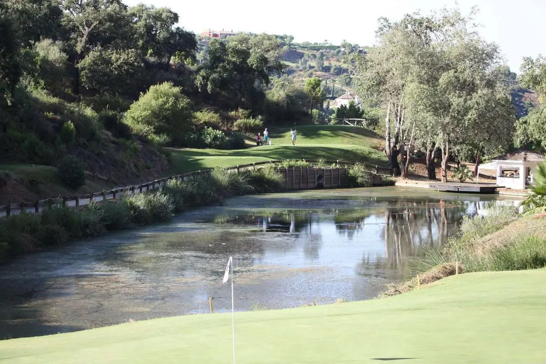 New Course Zagaleta, Circuito
