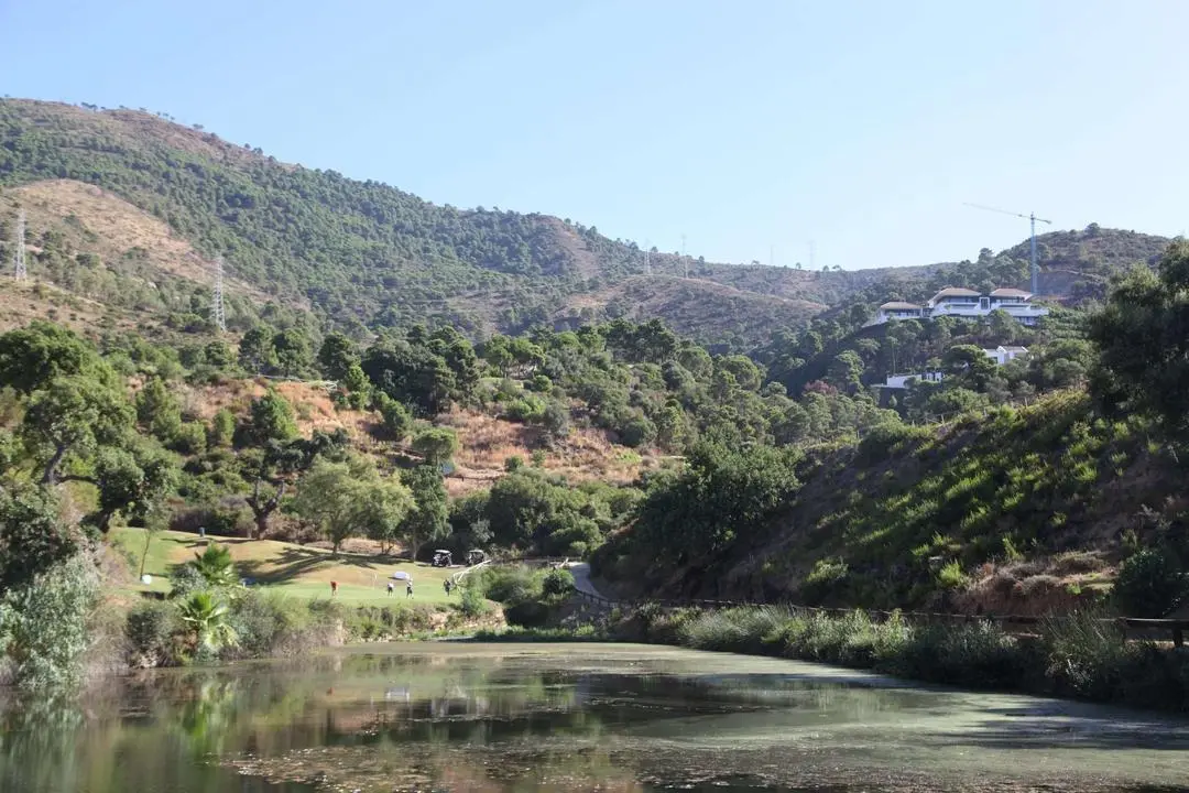 New Course Zagaleta, Circuito