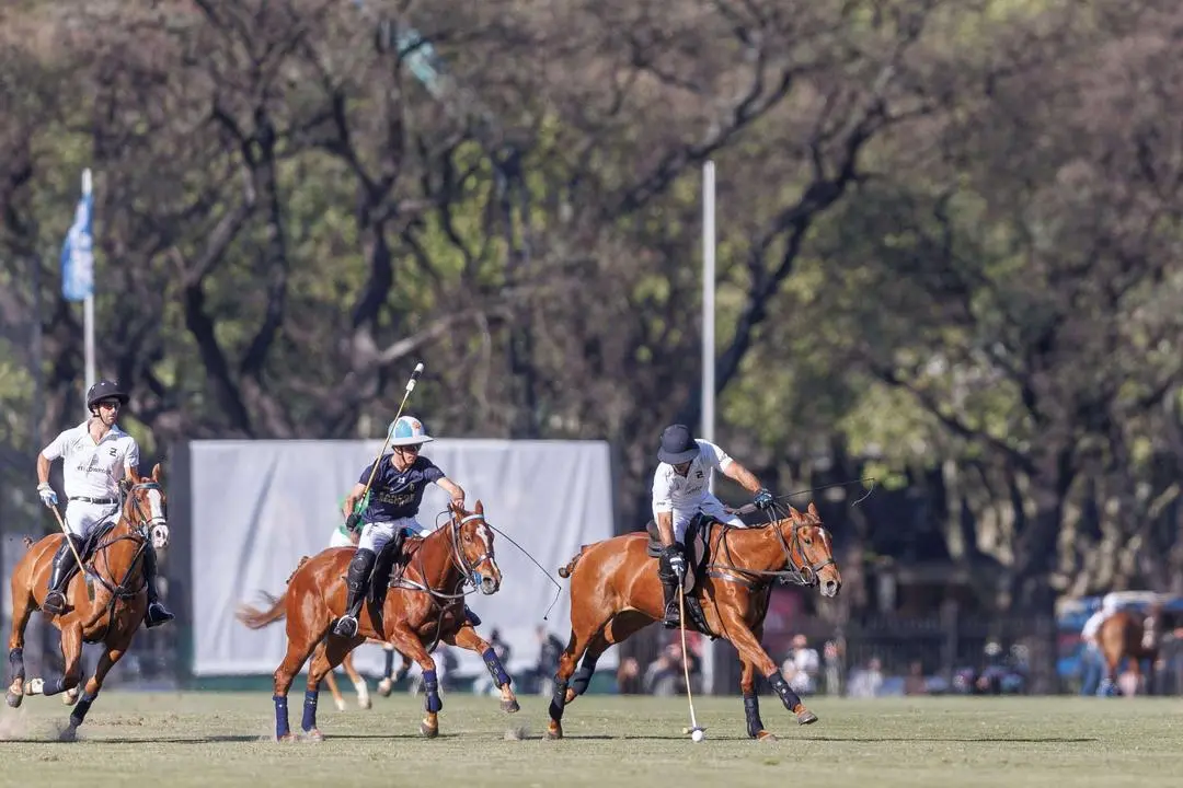 Hulingham, La Dolfina Saudi - Ellerstina