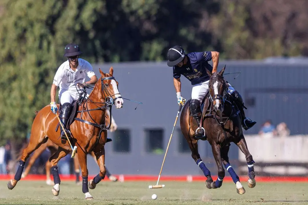 Hulingham, La Dolfina Saudi - Ellerstina