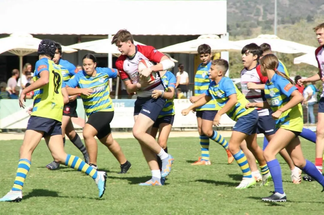 RUGBY GRADUAL OCT5