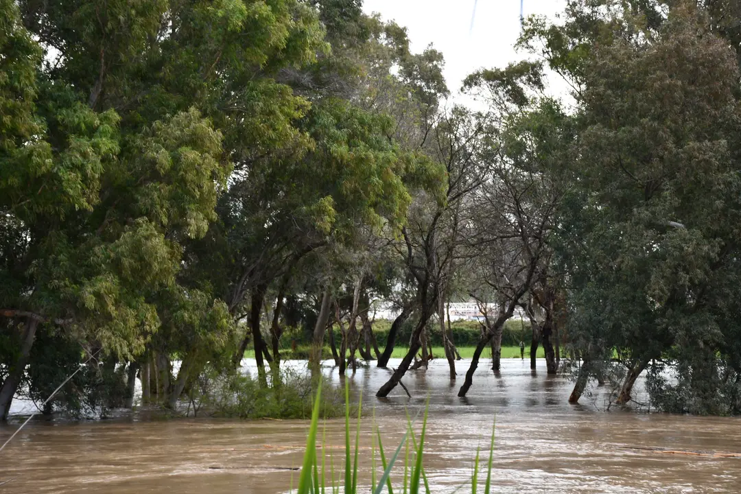Crecida del r&iacute;o