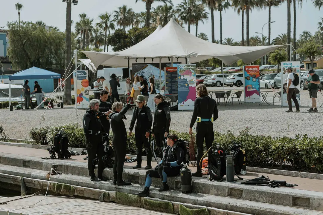 Equipo de buzos prepar&aacute;ndose para descender al fondo marino 4