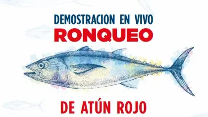 Ronqueo en San Roque