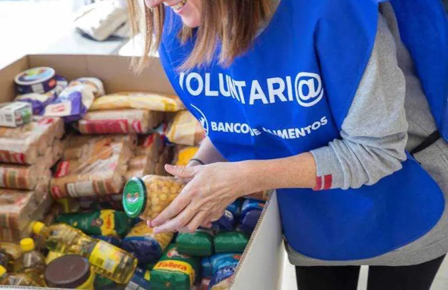 voluntario
