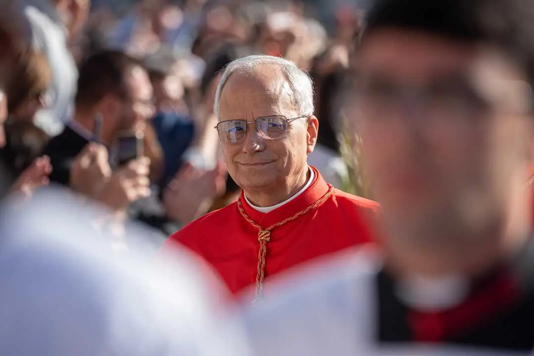 PAPA - CR BRAUN