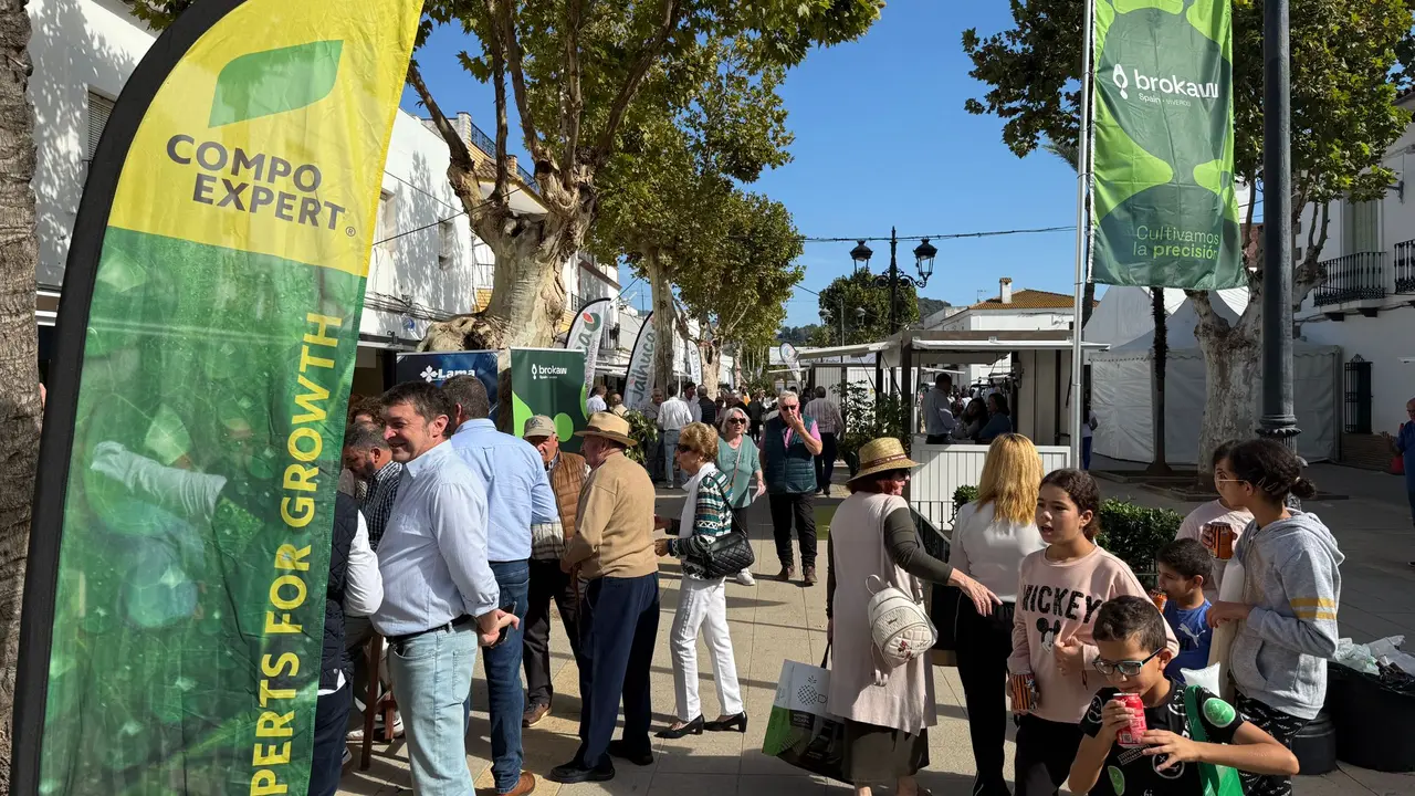 II Feria del Aguacate