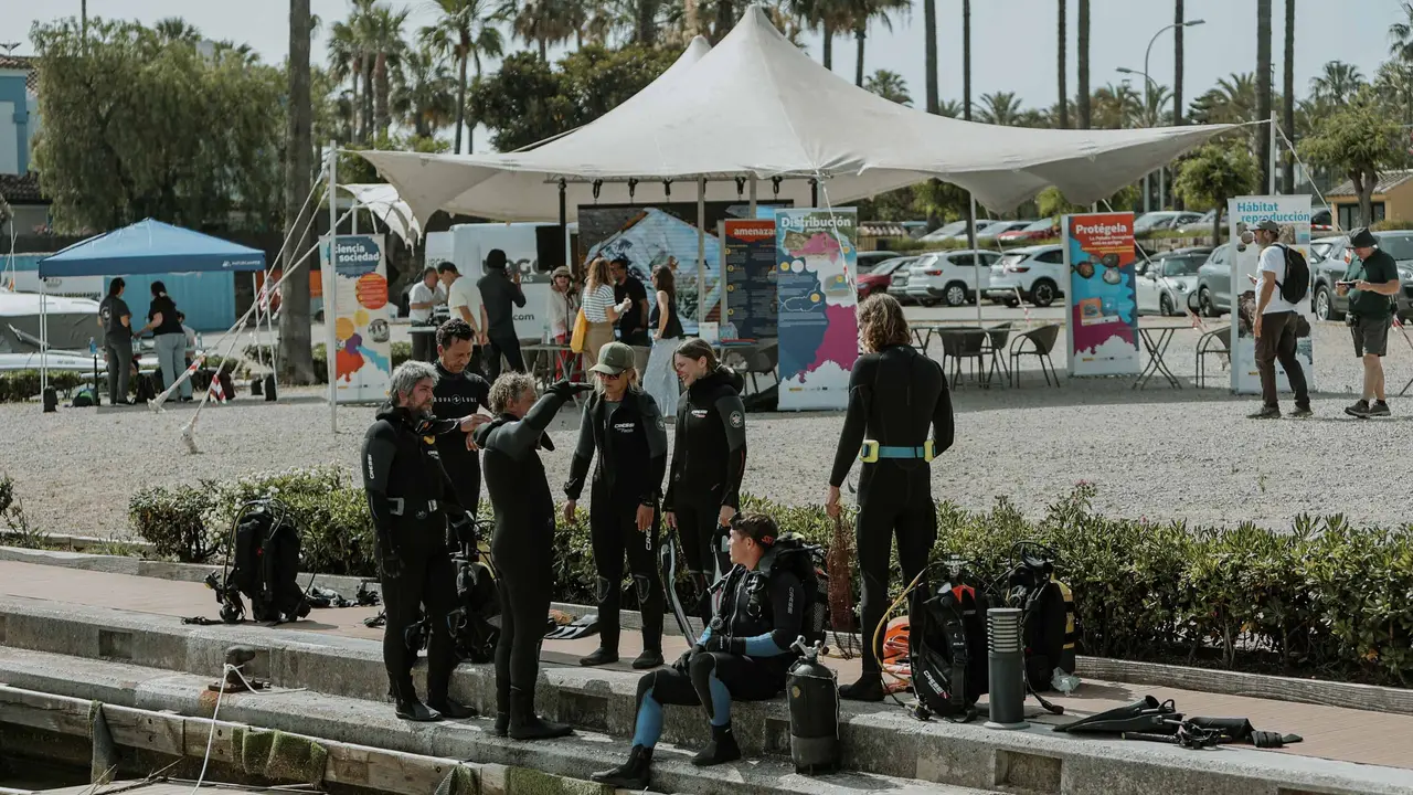 Equipo de buzos prepar&aacute;ndose para descender al fondo marino 4