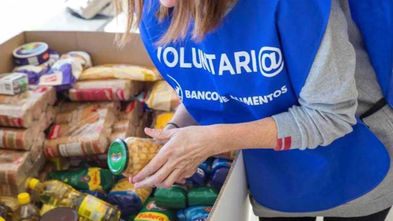 voluntario