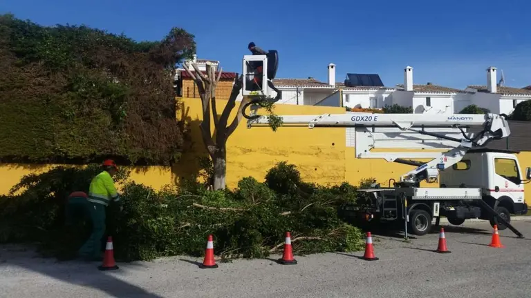 Poda Pueblo Nuevo