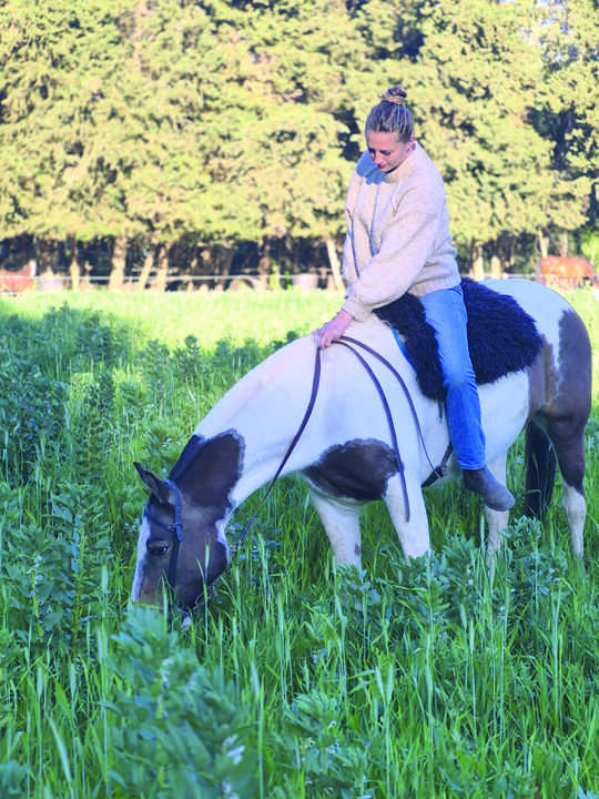 Cómo se prepara un caballo antes de competir y qué hay detrás del trabajo diario en las cuadras.